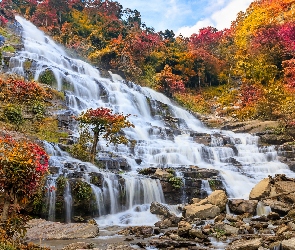 Tajlandia, Park Narodowy Doi Inthanon, Mae Ya Waterfall, Chiang Mai, Drzewo, Las, Skały, Kamienie, Jesień, Wodospad