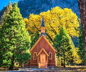Drzewa, Kościół, Kalifornia, Jesień, Kaplica, Stany Zjednoczone, Park Narodowy Yosemite