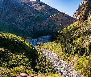Kirgistan, Dzień, Słoneczny, Park Narodowy Ala Archa, Potok, Skała, Kamienie, Drzewa, Góry Tienszan, Roślinność