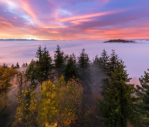 Kaiserstuhl, Mgła, Drzewa, Jesień, Niemcy