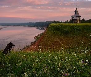 Jezioro, Pies, Cerkiew, Łąka