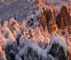 Rozświetlone, Drzewa, Skały, Ośnieżone, Zima