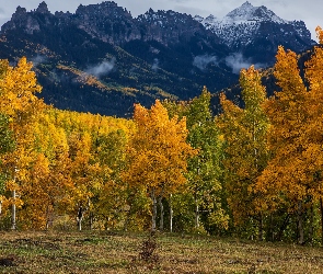 Niebo, Góry, Drzewa, Polana, Przełęcz, Kolorado, Owl Creek Pass, Jesień, Stany Zjednoczone, Las