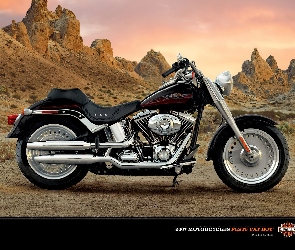 Harley Davidson Fat Boy, Reklama