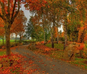 Jesień, Liście, Rzeka, Park, Mostek, Aleja