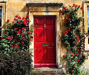 Róże, Drzwi, Dom, Czerwone