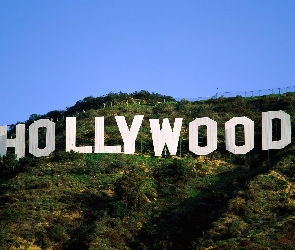 Napis, Wzgórze, Hollywood