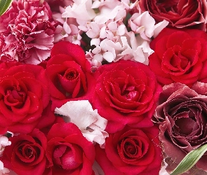 Róże, Bukiet, Kolorowe