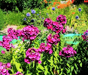 Ogród, Woda, Kwiaty