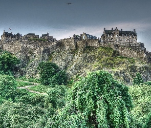 Drzewa, Skały, Edinburgh Castle, Zamek w Edynburgu, Szkocja, Edynburg