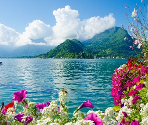 Kwiaty, Kolorowe, Morze, Góry